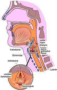 Kehlkopfkrebs