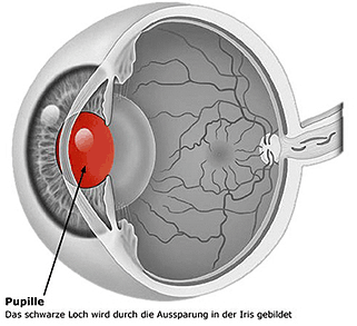 Irisdiagnostik - Iridiologie