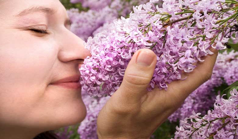 Wohlbefinden mit der Aromatherapie Wohlbefinden mit der Aromatherapie